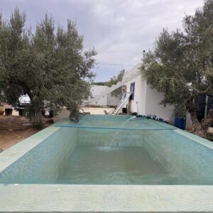 Terrain agricole de 11 376 m² à Houaria – Nabeul