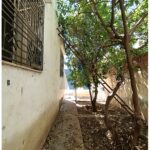 Photo-12 : VILLA S+3 À RÉNOVER À BEN AROUS