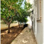 Photo-6 : EXCEPTIONNELLE VILLA SUR LES HAUTEUR DE RADES MONGIL