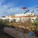 Photo-12 : MAISON TITRE BLEU JERBA