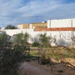 Photo-13 : MAISON TITRE BLEU JERBA