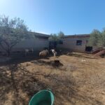 Photo-1 : Terrain agricole