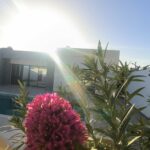 Photo-11 : Villa meublée avec piscine à JERBA