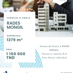 TERRAIN D’ANGLE AV DE FRANCE À RADES MONGIL