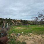 Photo-1 : Terrain à Cité les diamants, Mrezga