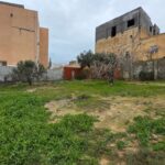 Photo-2 : Terrain à Cité les diamants, Mrezga