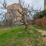 Photo-3 : Terrain à Cité les diamants, Mrezga