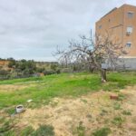 Terrain à Cité les diamants, Mrezga