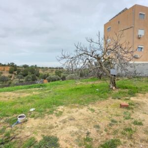 Terrain à Cité les diamants, Mrezga