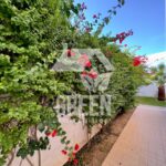 Photo-61 : Villa SWAROVSKI