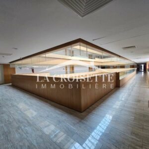 Bureau H+1 aux Jardins de Carthage ZBL0576