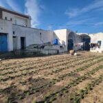 Photo-1 : Terrain Constructible à Tazarka Plage