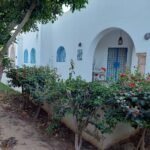 Photo-14 : Grande Villa meublée en centre ville de Monastir