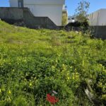 Photo-2 : Terrain à Jardins d’El Menzah 2