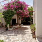 Photo-3 : Maison à Ezzahra