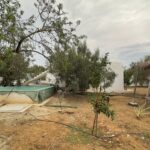 Photo-5 : Terrain agricole de 11 376 m² situé à el Houaria de Nabeul.