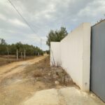 Photo-11 : Terrain agricole de 11 376 m² situé à el Houaria de Nabeul.