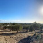 Terrain vue de mer, clôturé situé à Dharoufa