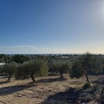 Photo-2 : Terrain vue de mer, clôturé situé à Dharoufa