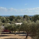 Terrain de 735m² vue de mer à Dharoufa