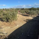 Photo-3 : Terrain de 735m² vue de mer à Dharoufa