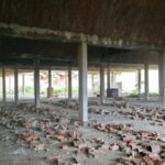 Photo-8 : Terrain Industriel – Zone Industrielle de Nabeul