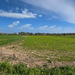 Terrain agricole titré de 1 024 m² à Korba