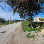 Photo-2 : Terrain de 2 000 m² sur la route de Tunis à Nabeul