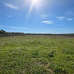 Photo-6 : Terrain clôturé de 8 200 m² à Hammamet