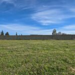 Photo-5 : Terrain clôturé de 8 200 m² à Hammamet