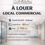 Photo-1 : Espace Commercial à Oued Souhil