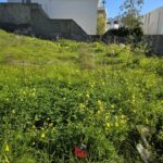 Terrain à Jardin d&rsquo;Elmenzah