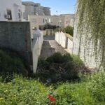 Photo-3 : Terrain à Jardin d&rsquo;Elmenzah