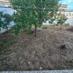 Photo-19 : Belle villa sise à la Mornaguia