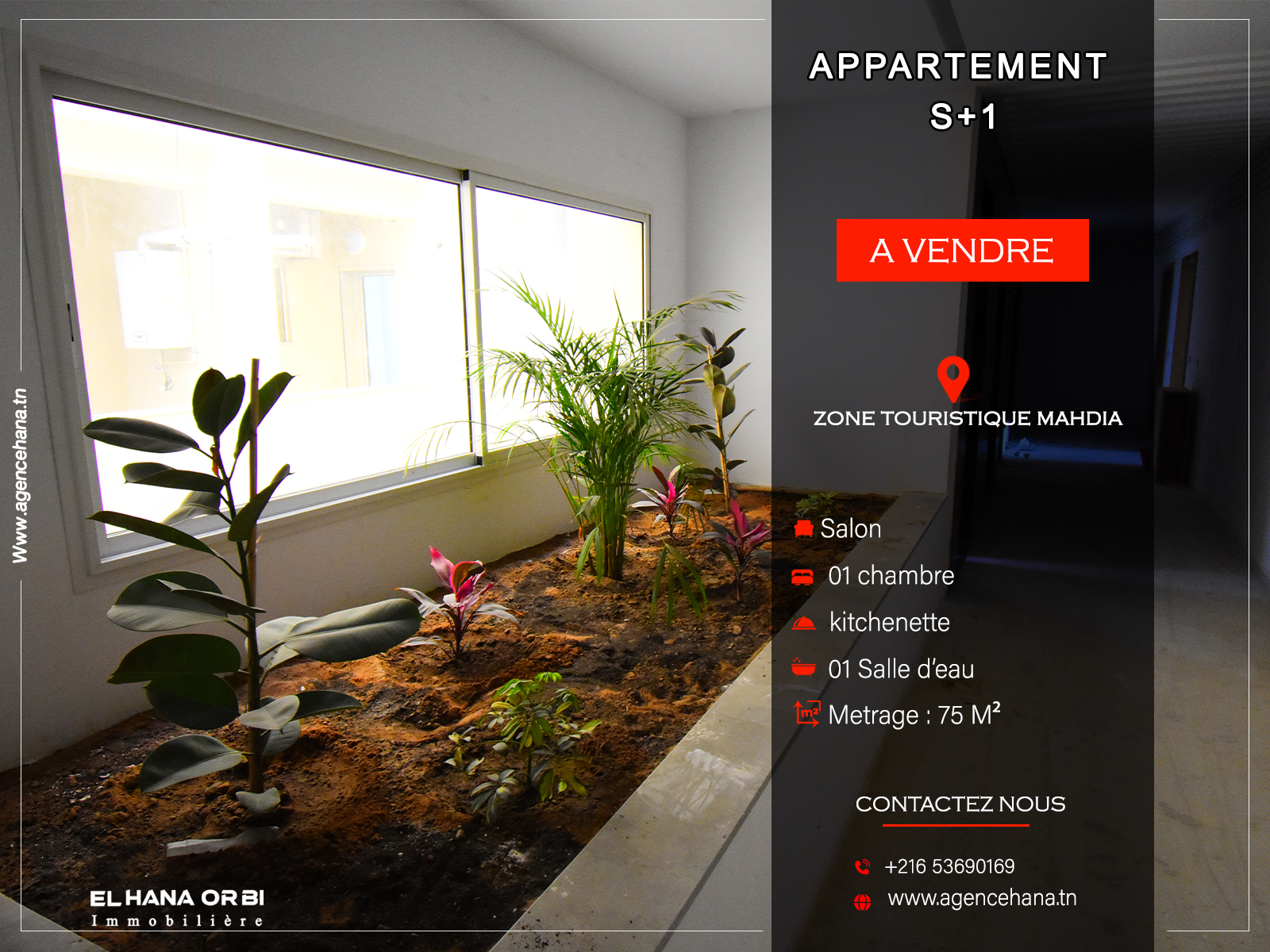 Bien en S+1 avec piscine directement promoteur à Mahdia