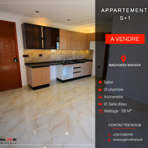 Appartement S+1 pour investissement à Baghdadi