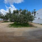 Photo-3 : Terrain de 335 m² à Hammamet Nord