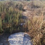 Photo-5 : Terrain 1000 m² pieds dans l&rsquo;eau à Maamoura plage