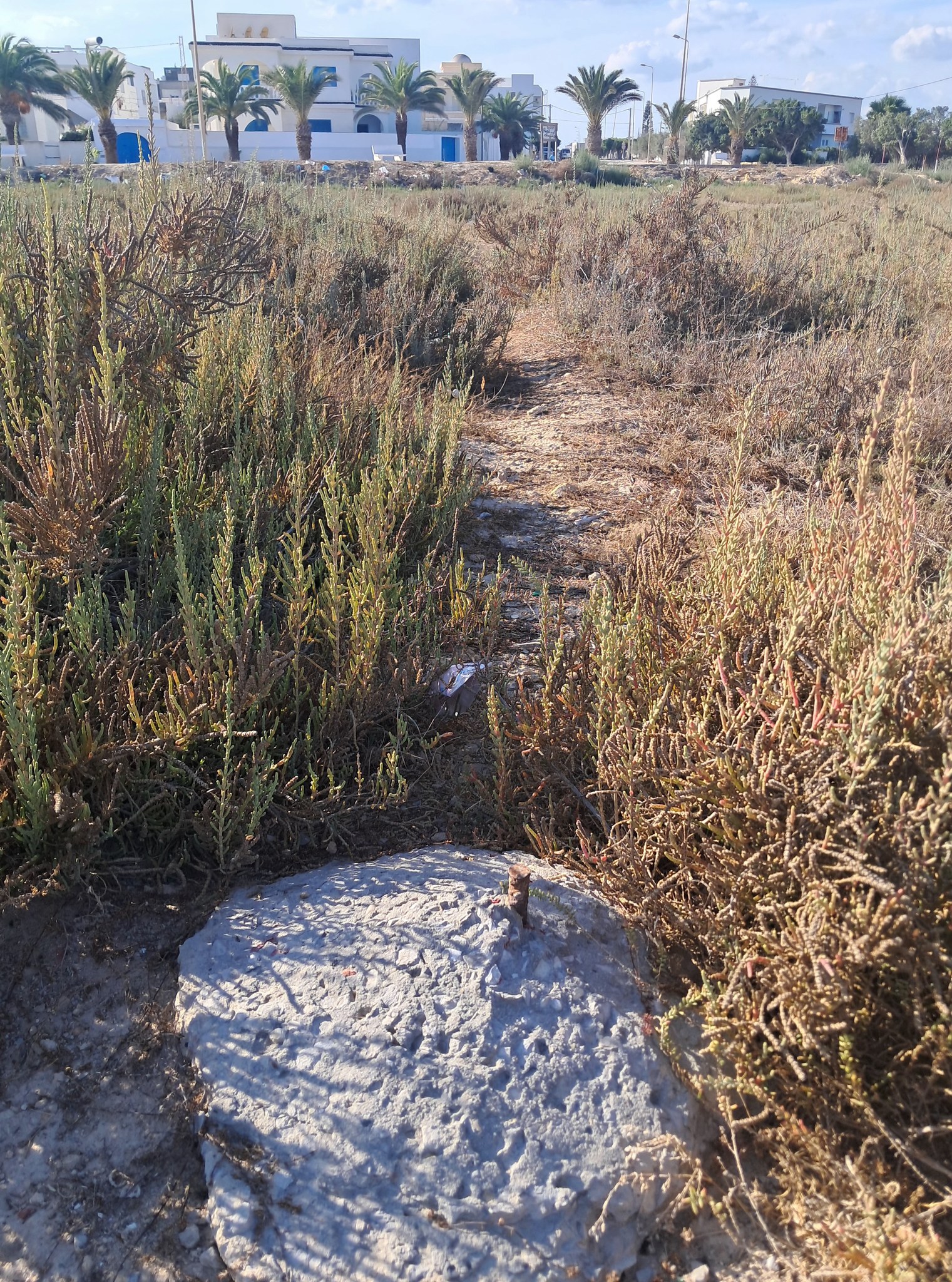 Image 404327