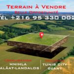Terrain de 1000 m² à Jinen Ennahli Mnihla