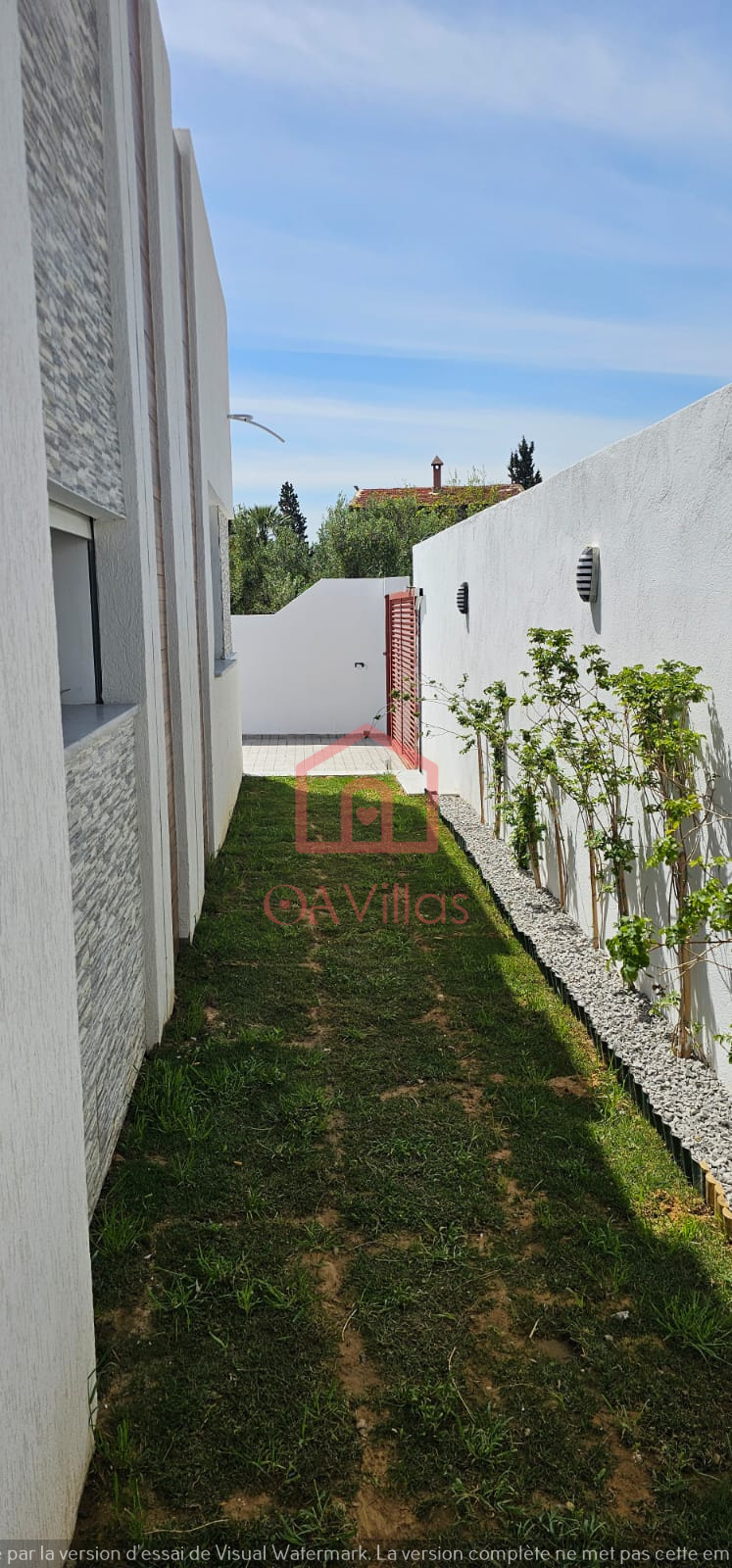 Image 402859