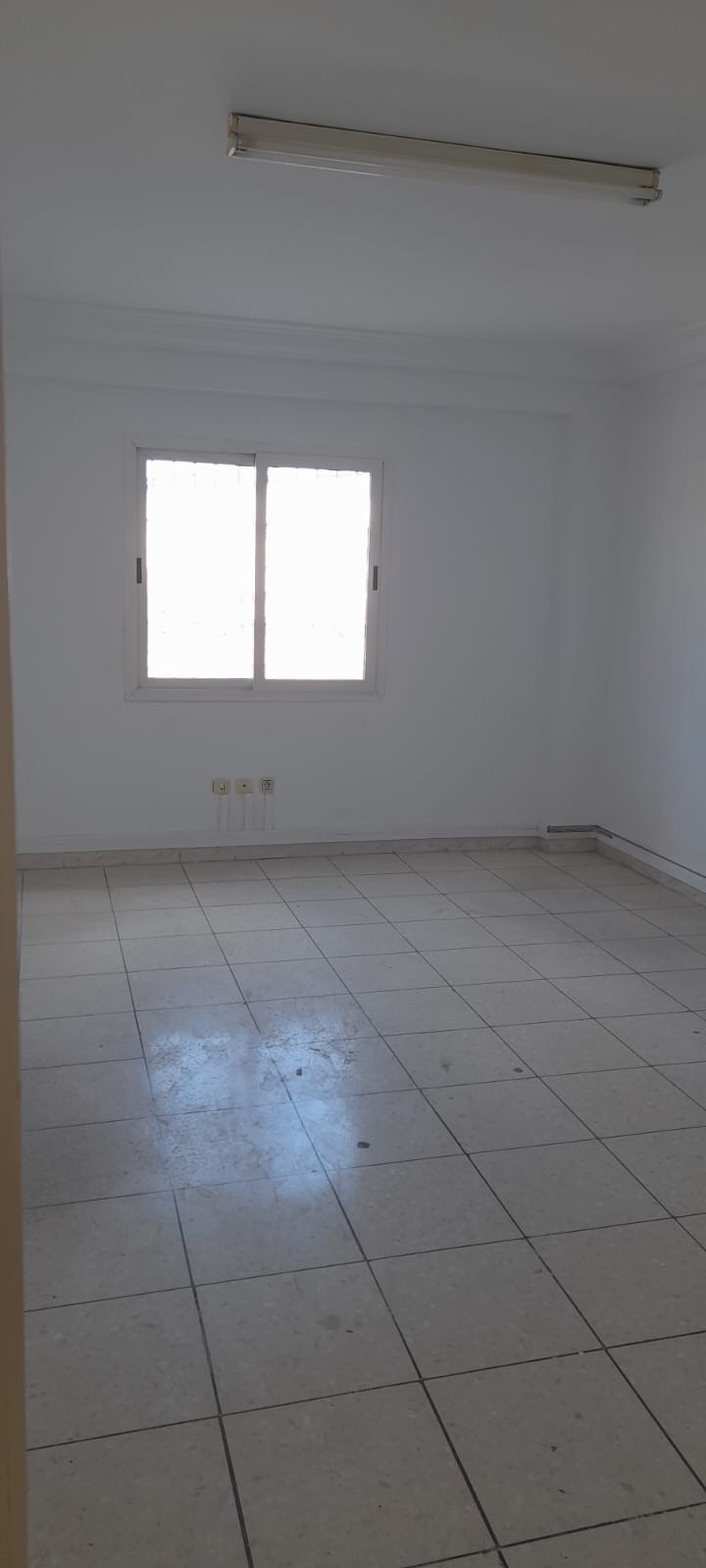 Image 403985