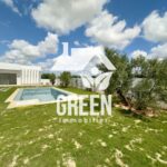 Photo-7 : Villa Shark