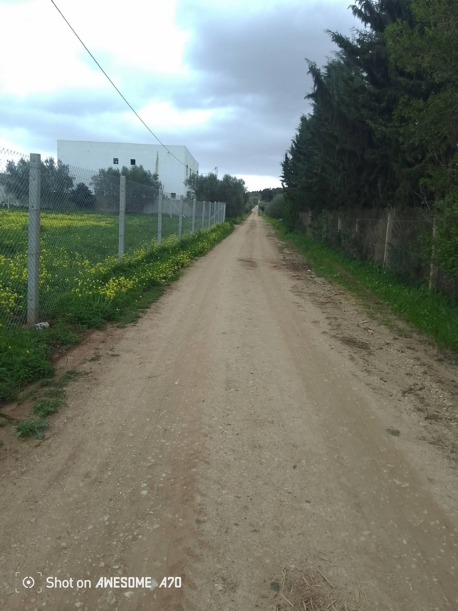 Image 405049
