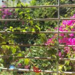 Photo-11 : S2 Meublé avec Jardin à Sidi Daoud