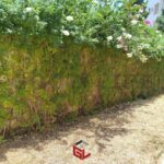 Photo-1 : S2 Meublé avec Jardin à Sidi Daoud