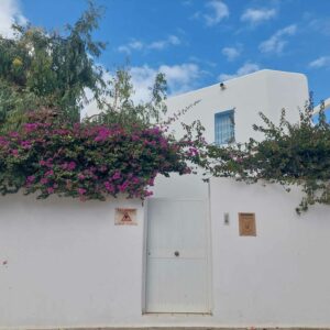 Grande et belle villa meublée