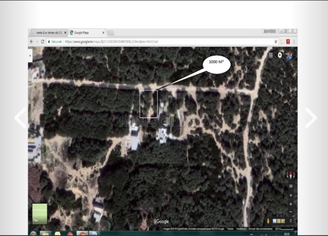 Image 406219