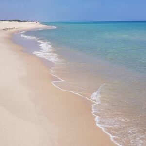 Terrain 1000 m² pieds dans l&rsquo;eau à Maamoura plage