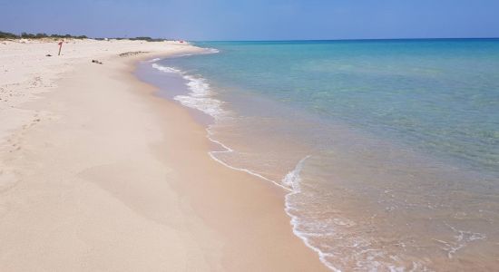 Terrain 1000 m² pieds dans l'eau à Maamoura plage